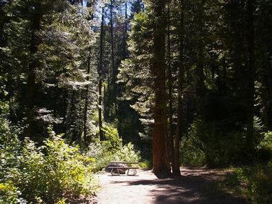Cold Springs Campground   Boise Nf