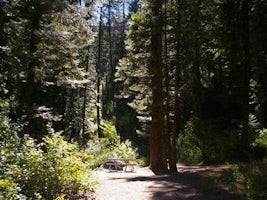 Cold Springs Campground   Boise Nf