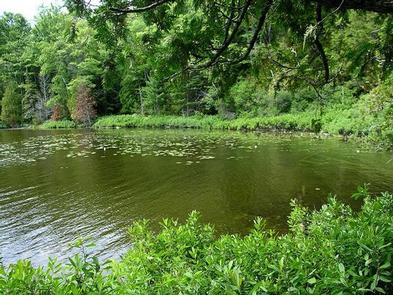 Ewing Point Dispersed Campsite