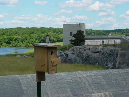 West Thompson Lake Campground