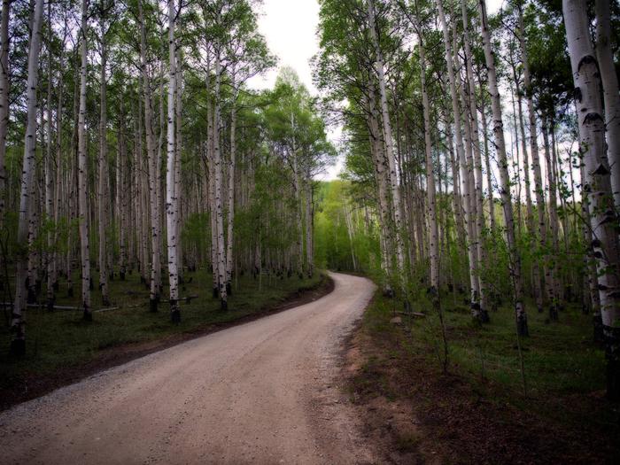 Lone Rock Campground (Co)