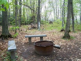 Gull Point Campsite On Grand Island
