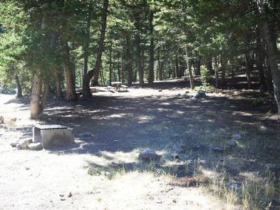 Idaho’s Hidden Gem: Loristica Group Campground – Your Next Adventure Awaits!