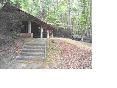 Fern Springs Day Use Picnic Area