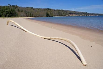 Little Dune Ii Campsite On Grand Island