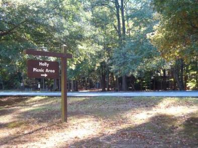 Greenbelt Park Picnic Areas