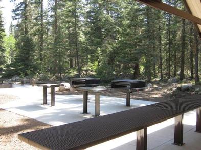 Florida Campground (Co)