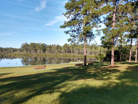 Camel Lake Campground