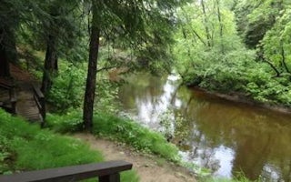 Carp River Campground