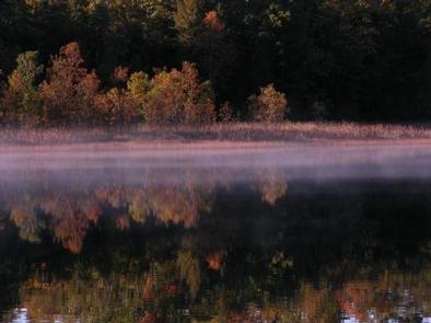 Duck Lake Campsite On Grand Island