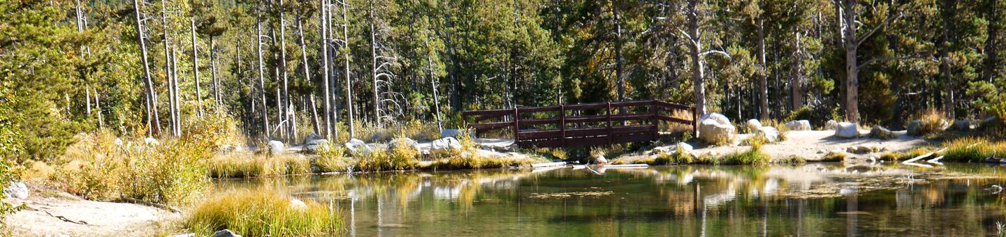 Montana Basin Campground: Where Wilderness Meets Comfort