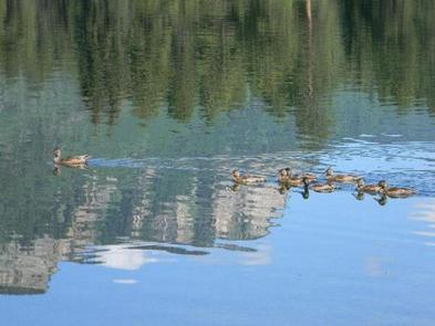 Haviland Lake Campground