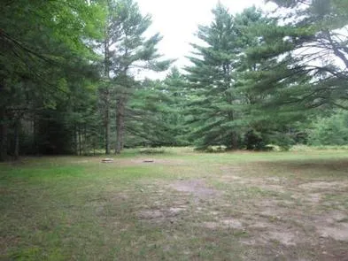 Camp Cook Dispersed Campsite