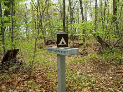 Preservation Point Campsite On Grand Island
