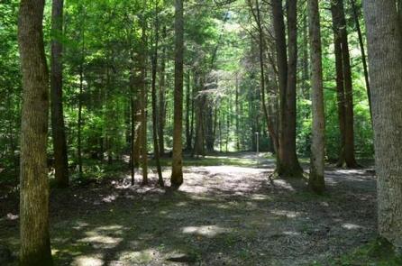 Big Creek Group Camp