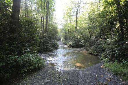 Cove Creek Lower Group Camp