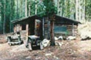 Doney Cabin