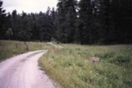 Lower Fir Group Area