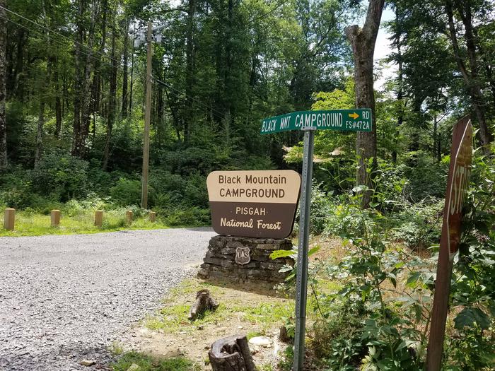 Black Mountain Campground