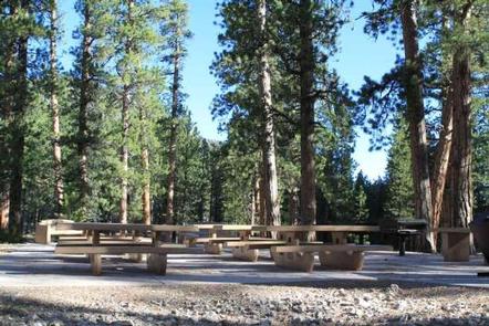 Foxtail Grp Picnic Area