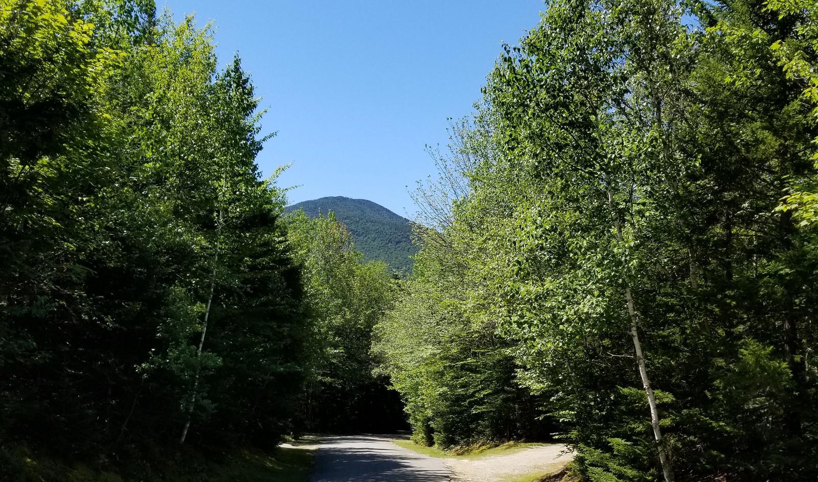 Sugarloaf 1 Campground