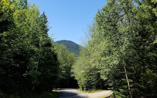 Sugarloaf 1 Campground