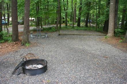 Cataloochee Campground