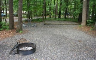 Cataloochee Campground