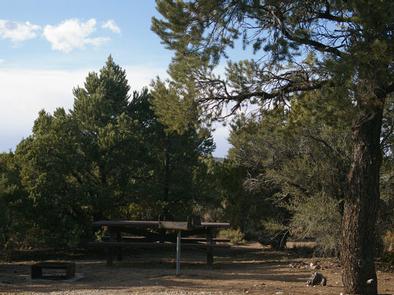 Ward Mtn. Campground (Murray Summit)