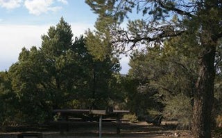 Ward Mtn. Campground (Murray Summit)