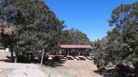 Cedro Peak Camping Sites   Robin And Jay