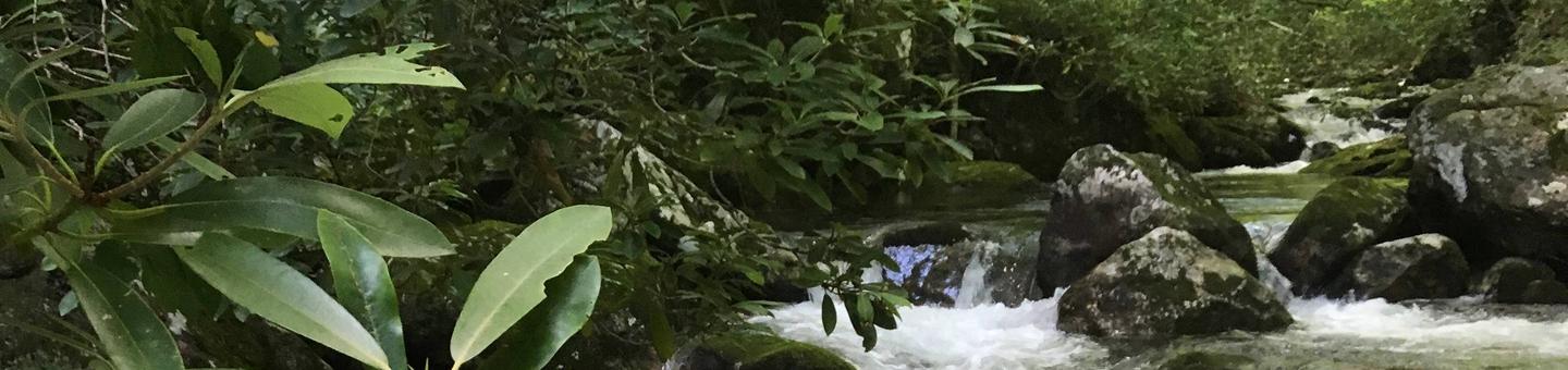 Wolf Ford Horse Camp