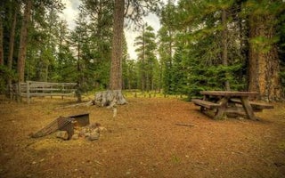 Whispering Pines Horse Camp