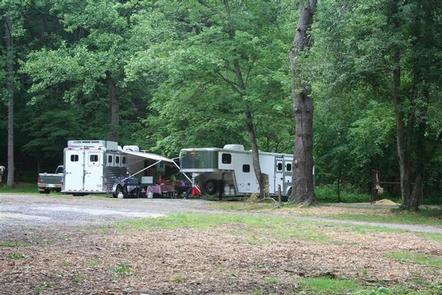 Cataloochee Horse Camp
