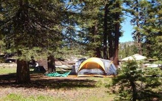 (Lake Alpine)  Silver Tip Campground