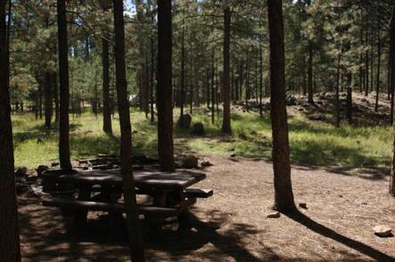 Jemez Falls Campground