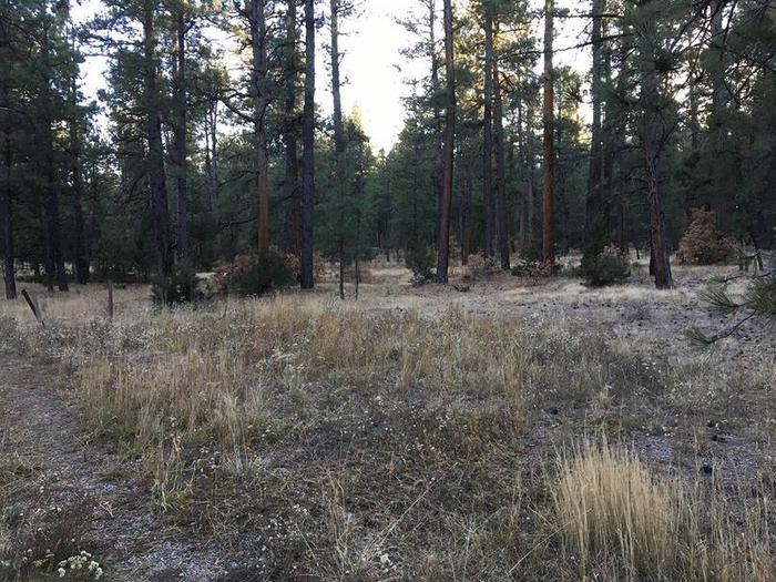 Amole Canyon Group Shelter