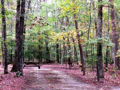 Oak Ridge Campground