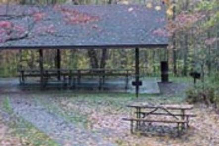 Cosby Picnic Pavilion
