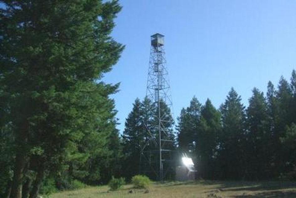 Tamarack Cabin