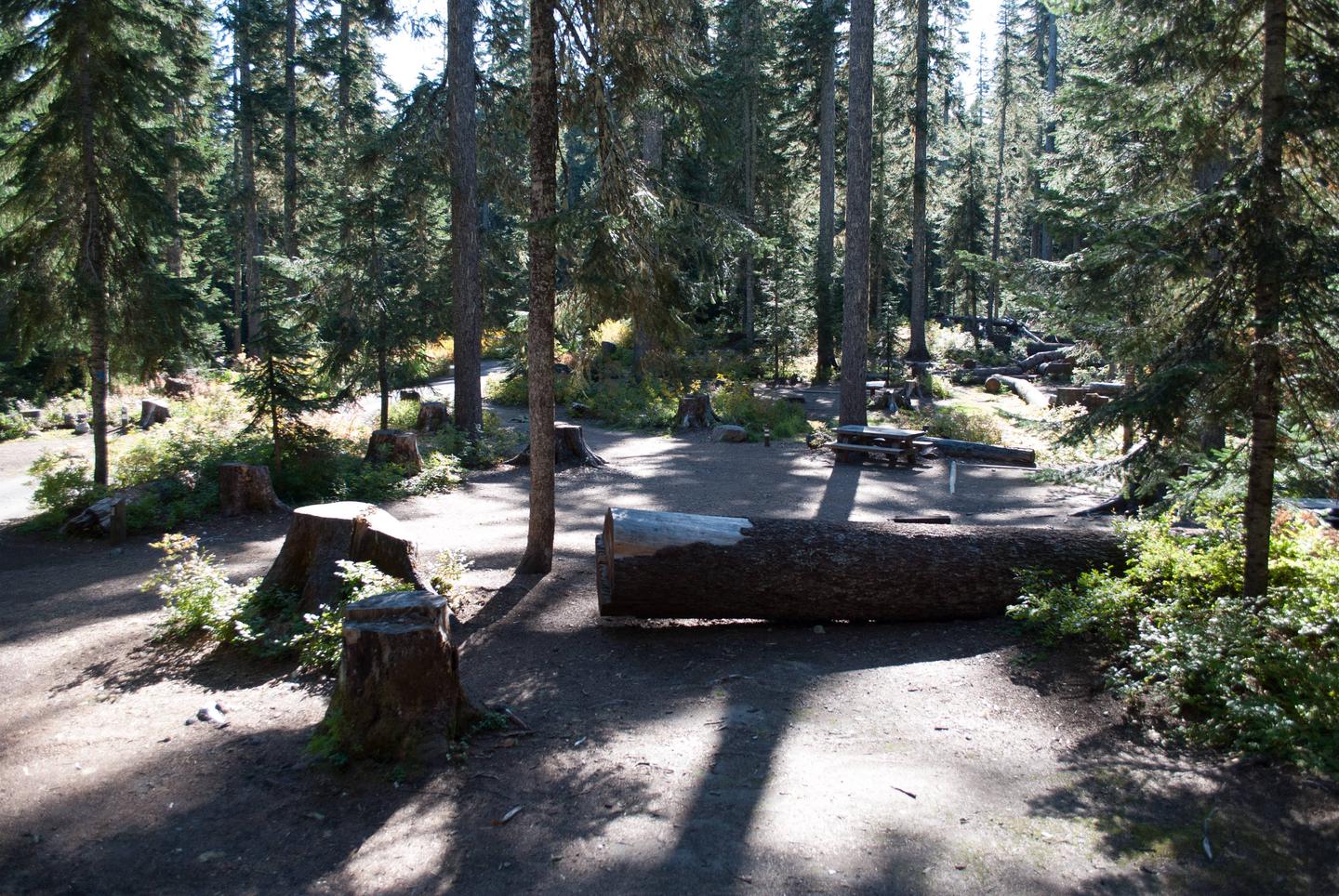 Takhlakh Lake Campground 