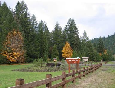 Lodging at Lone Pine Group Campground (Reservation) in Douglas County