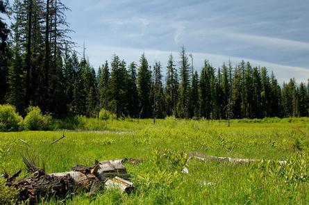 Willow Prairie Cabin