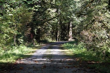 Miller River Group Camp