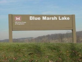 Blue Marsh Lake (Dry Brooks Day Use Area)
