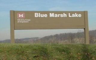 Blue Marsh Lake (Dry Brooks Day Use Area)