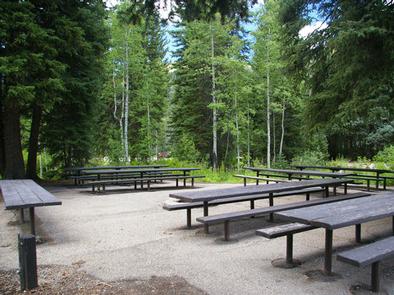 Spruces   Big Cottonwood