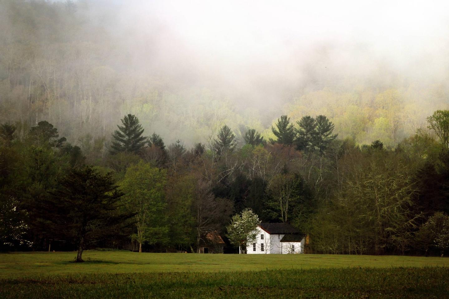Cades Cove Campground