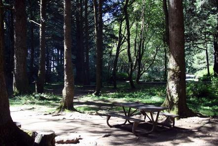 Rock Creek   Siuslaw