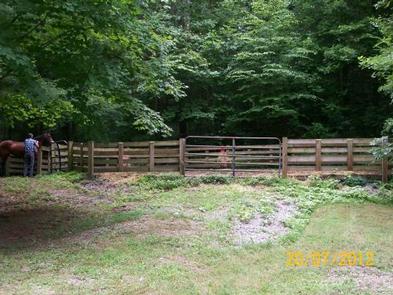 Young Branch Horse Camp
